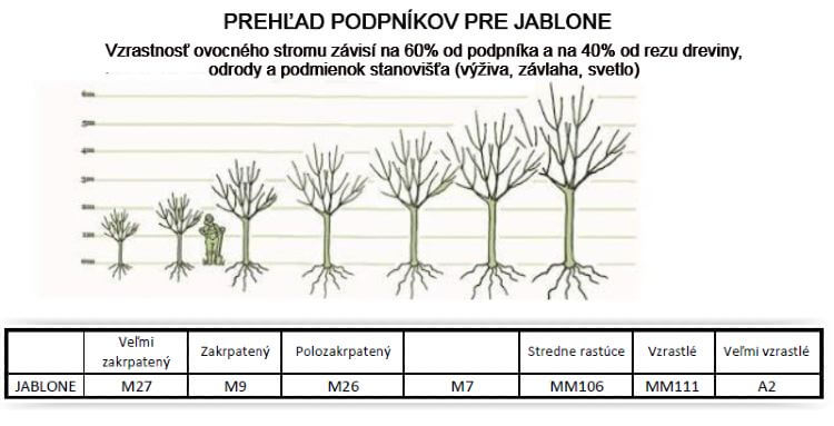 Podpníky pre jablone