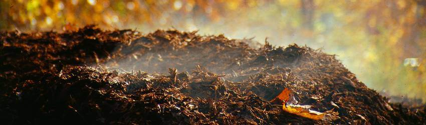 Využitie jesenného lístia do kompostu