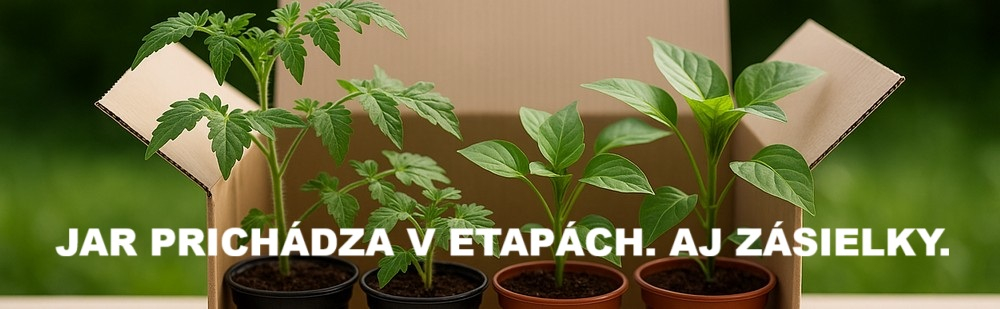 Záhradník odychuje pri sadní stromčeku