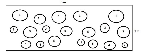 Osadzovací plán záhon do polotieňa s krúžkami Osadzovací plán záhon do polotieňa s krúžkami