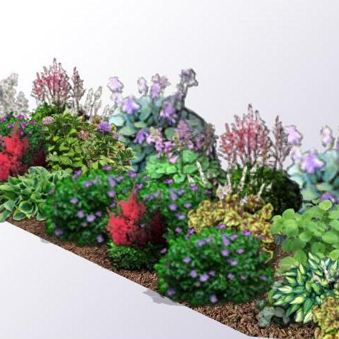 Trvalkový záhon do polotieňa Trvalkový záhon do polotieňa