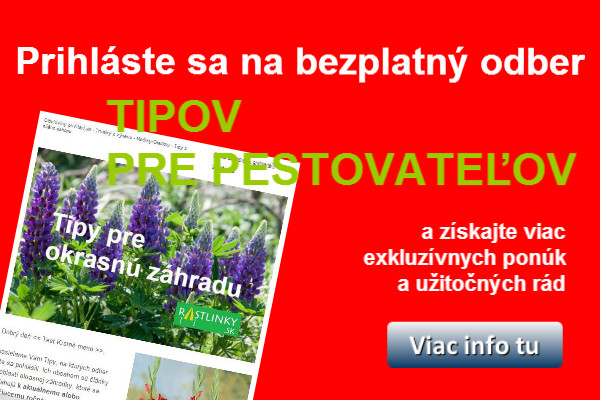 Tipy pre pestovateľov