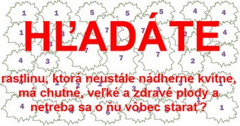 Hľadáte rastliny Hľadáte rastliny