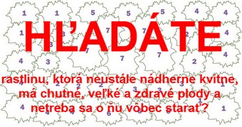 Hľadáte rastliny